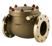 swing check valve