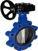 butterfly valve